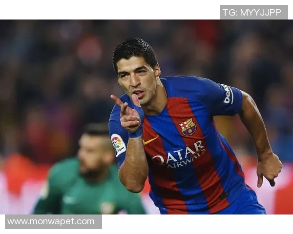 世界足球光头英雄：9位传奇球星的激情瞬间与赛场风采