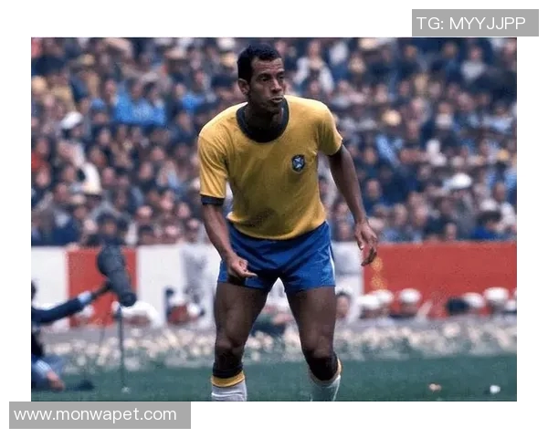 全球足球历史十大最强球星排名榜单揭晓 谁是足坛真正的传奇之王