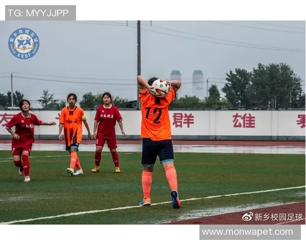 平顶山足球球星的崛起与成就探析及其对地方足球发展的推动作用