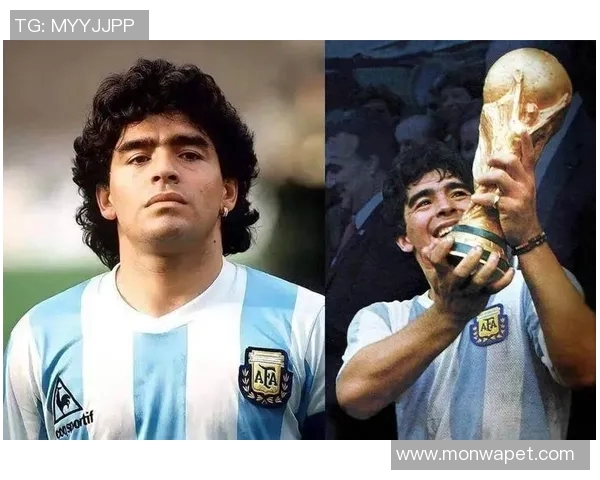 揭秘全球顶级足球巨星 他们的传奇历程与辉煌瞬间