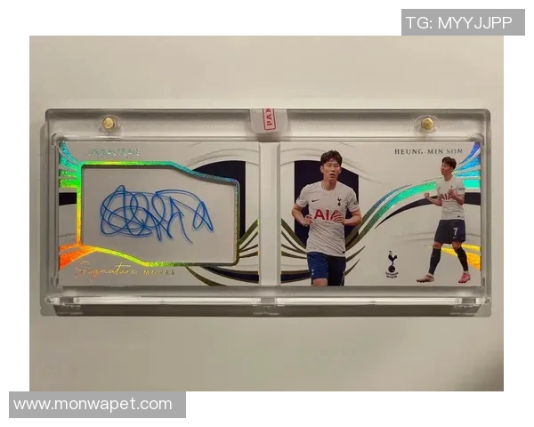 球星卡收藏热潮掀起足球旋风引领年轻群体追逐绿茵新风尚