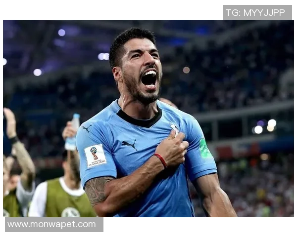 足球场上那些名字难记却令人难忘的球星们揭秘 足球场上那些名字难记却令人难忘的球星们揭秘