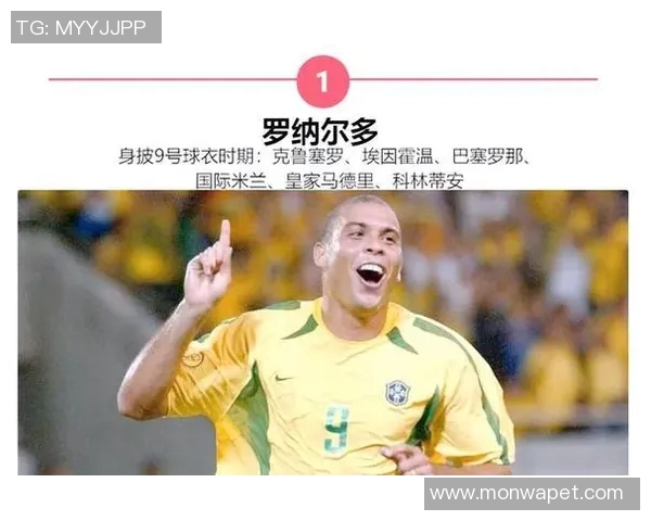 全球足球队退役球星排名前十 揭秘历史传奇球员的辉煌时刻与影响力 全球足球队退役球星排名前十 揭秘历史传奇球员的辉煌时刻与影响力