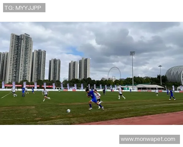 南阳省十大足球球星俱乐部实力对比与发展前景分析 南阳省十大足球球星俱乐部实力对比与发展前景分析