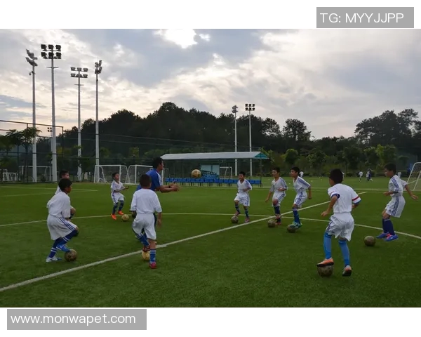 小球星幼儿足球训练营：培养未来足球明星的起点