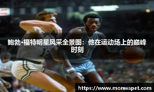NG体育官网