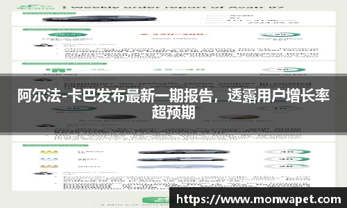 NG体育