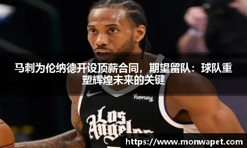NG体育官网
