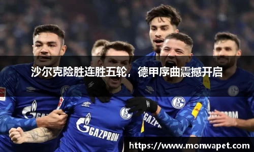 NG体育官方网站