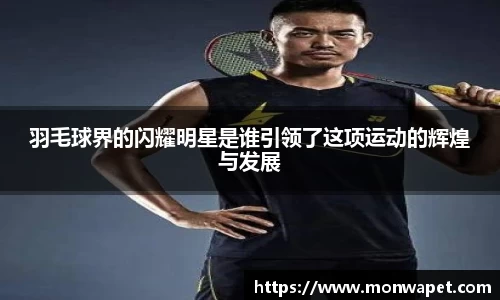 羽毛球界的闪耀明星是谁引领了这项运动的辉煌与发展