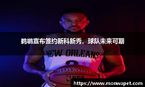 NG体育官方网站