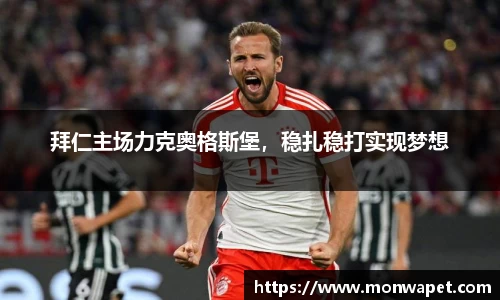 NG体育官网