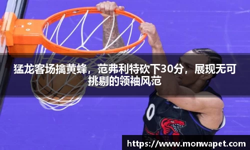 NG体育官方网站