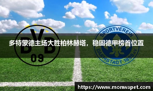 NG体育官网