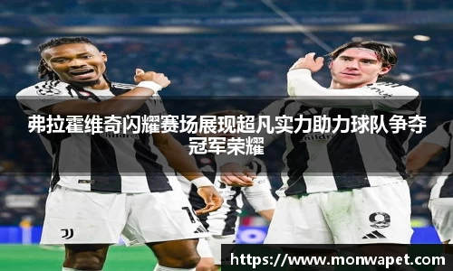 弗拉霍维奇闪耀赛场展现超凡实力助力球队争夺冠军荣耀