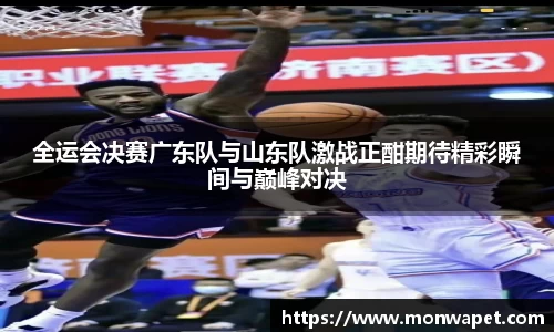 全运会决赛广东队与山东队激战正酣期待精彩瞬间与巅峰对决