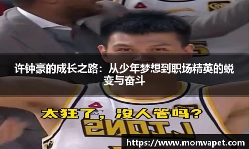 许钟豪的成长之路：从少年梦想到职场精英的蜕变与奋斗