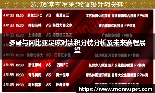 多哥与冈比亚足球对决积分榜分析及未来赛程展望