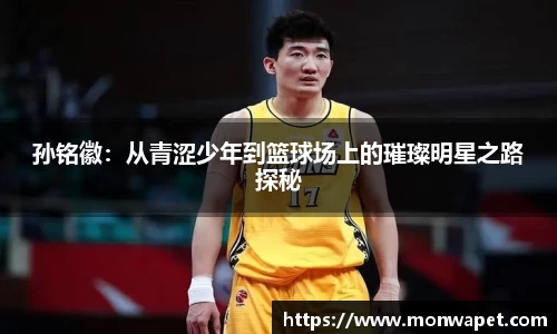 孙铭徽：从青涩少年到篮球场上的璀璨明星之路探秘
